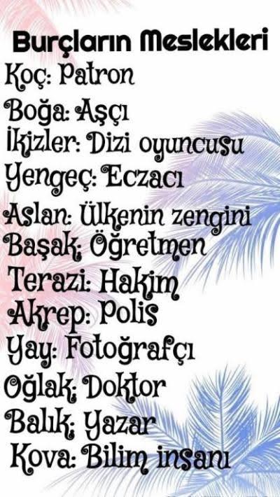 Burcunuza göre hangi mesleksiniz?