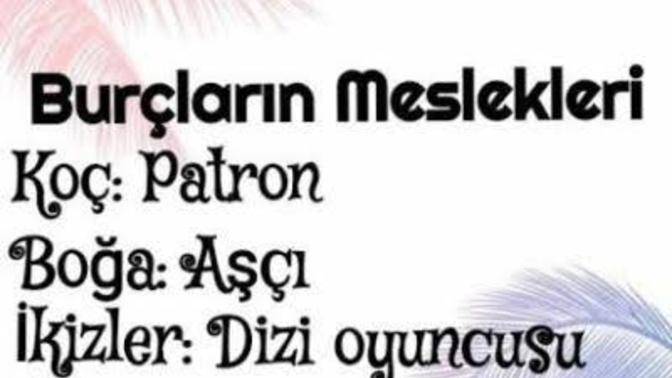 Burcunuza göre hangi mesleksiniz?