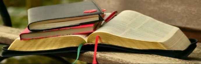 Okuduğunuz bir kitabın özetini çıkartır mısınız?