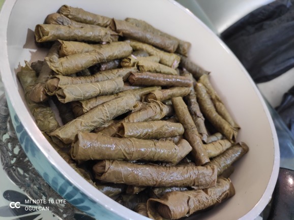 Canım sıkıldı sarma yaptım, nasıl olmuş ?