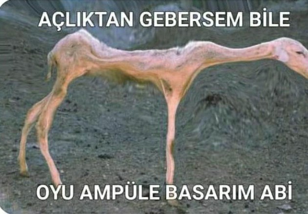 Cumhuriyet tarihinin en kötü yönetimi sizce ne zaman?
