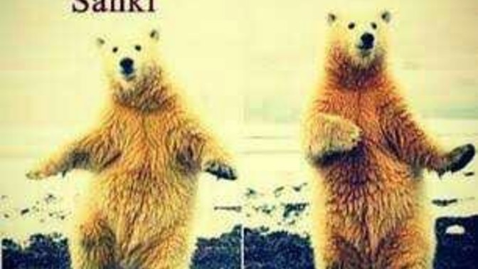 Amaaaan dediğiniz neler var?