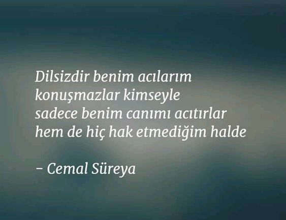 Geceye ve bana bir söz bırakır mısınız?