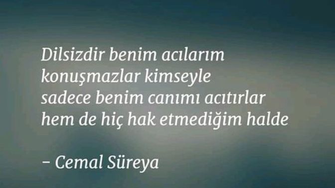 Geceye ve bana bir söz bırakır mısınız?