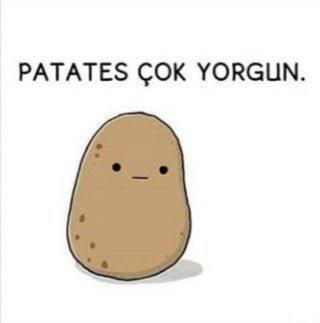 Ben patates olmak istiyorum?