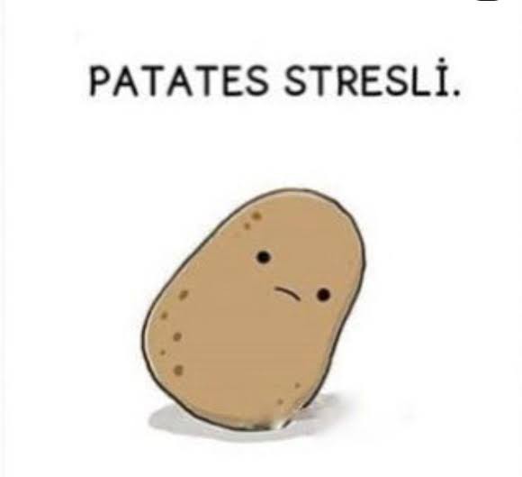 Ben patates olmak istiyorum?