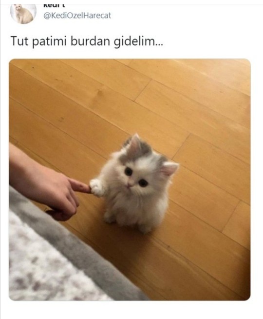 Ruh halinizi anlatın desem nasıl anlatırdınız?