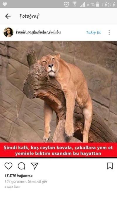 Ruh halinizi anlatın desem nasıl anlatırdınız?