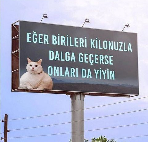 Kilonuzla ya da iştahınızla dalga geçen insanlar var mı :/ ?
