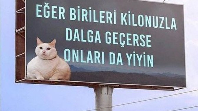 Kilonuzla ya da iştahınızla dalga geçen insanlar var mı :/ ?