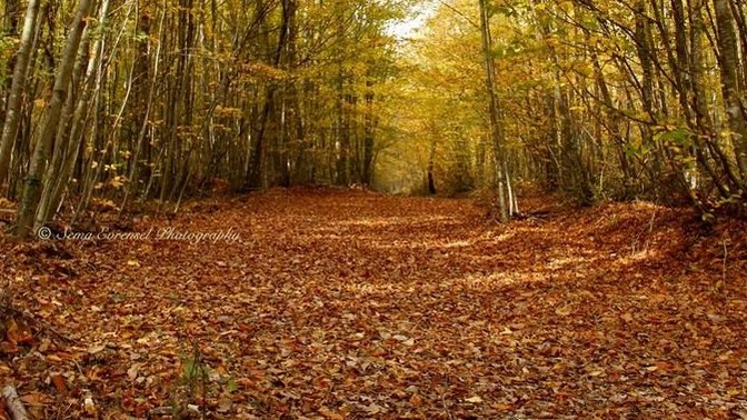 "Niye bu kadar geç tanıştım diye sorgularken, tanıdığına pişman oldum" dediğin biri oldu mu hayatınızda ?
