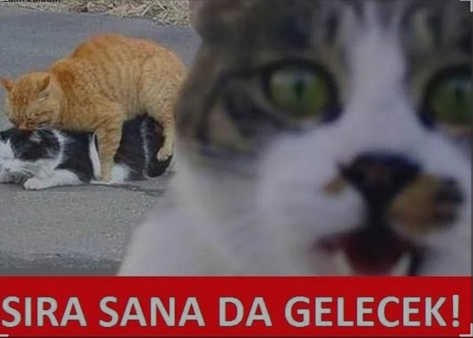 Sevgi size gore ne demek?