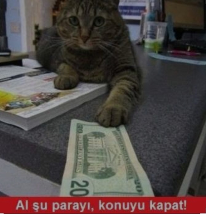 Sevgi size gore ne demek?