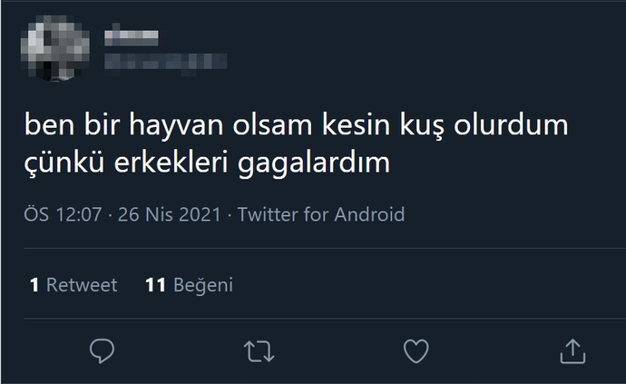 Hayata bir hayvan olarak gelseydiniz, hangi hayvan olmasını isterdiniz?