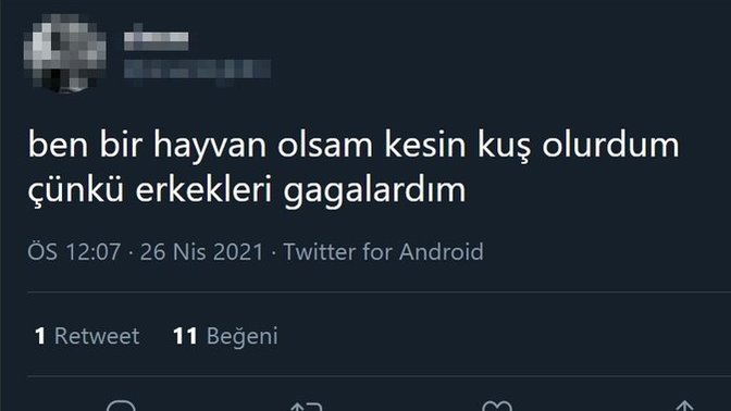 Hayata bir hayvan olarak gelseydiniz, hangi hayvan olmasını isterdiniz?
