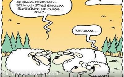 Ne olmak istediniz, ne oldunuz?