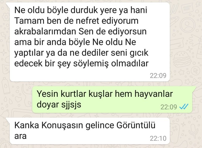 17 yaşındaki kardeşimin telefonunda bu mesajları buldum napmalıyım?