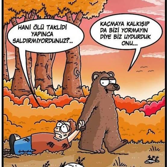 Ölü takliti yapanları nasıl uyandırırsiniz yoksa ölmüsken hazır ufak ufaktan kaçar mısınız 🧸😂?