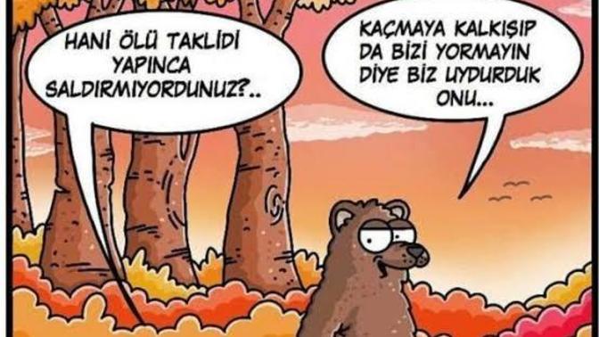 Ölü takliti yapanları nasıl uyandırırsiniz yoksa ölmüsken hazır ufak ufaktan kaçar mısınız 🧸😂?