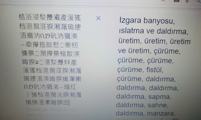Maillerim çince geliyor, neden oluyor? Nasıl düzeltebilirim?