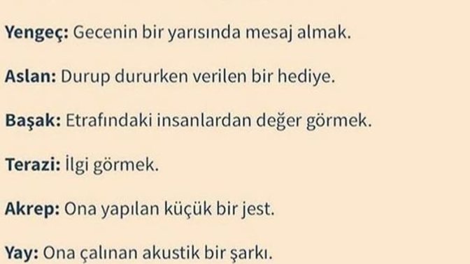 Burçların sevimli bulduğu şeyler ve ya olaylar nelerdir?