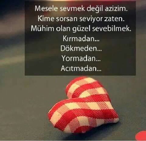Sen nasıl seversin, sevgini bir şeye benzetecek olsan bu ne olurdu?