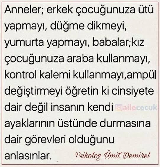 Anneler oğullarına ev işi yaptırmalı mı?