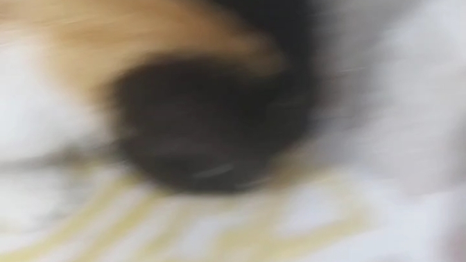 Kedim peynirli soğanlı cips yedi, bir şey olur mu?