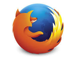 Hangi internet tarayıcısını kullanıyorsunuz?