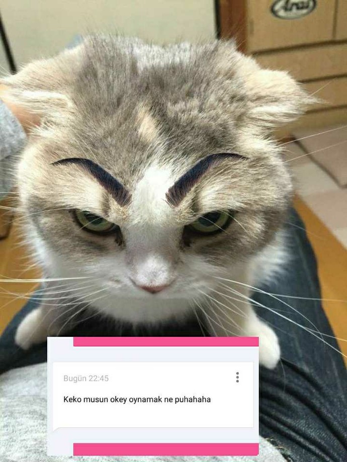 Okey oynamak kekoluk mudur?