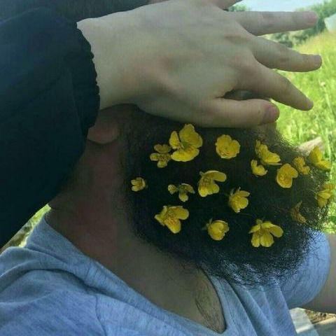 Sakallarına çiçekler takacağım, beni el üstünde tutacak, uzun boylu, tatlı yari nerede bulabilirim?