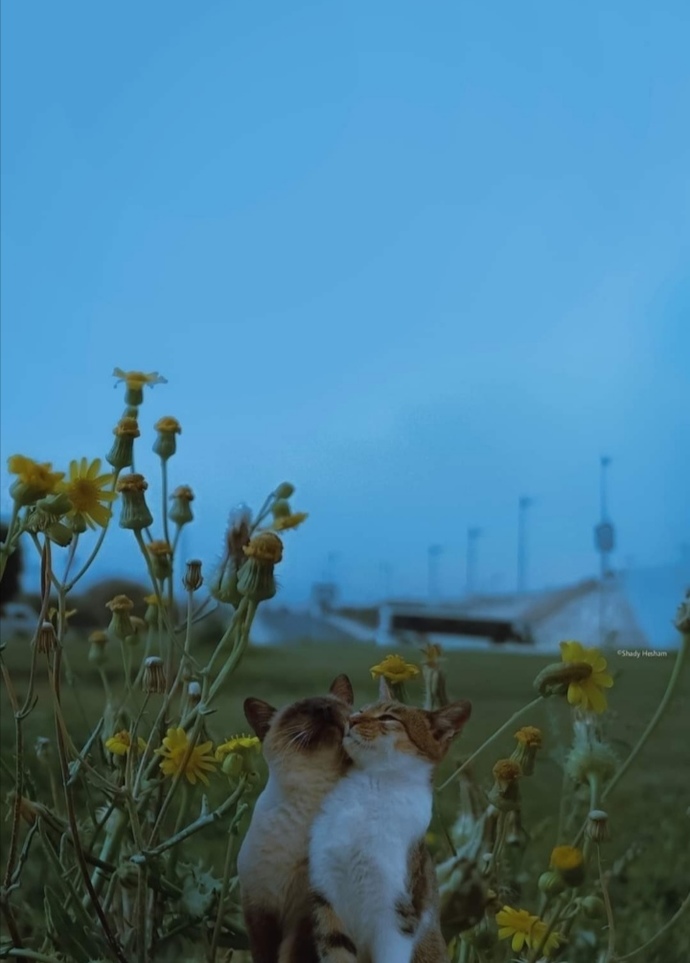 😍 😍 😍 😍