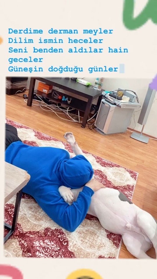 Bugün ne yaptınız tahmin edeyim mi?