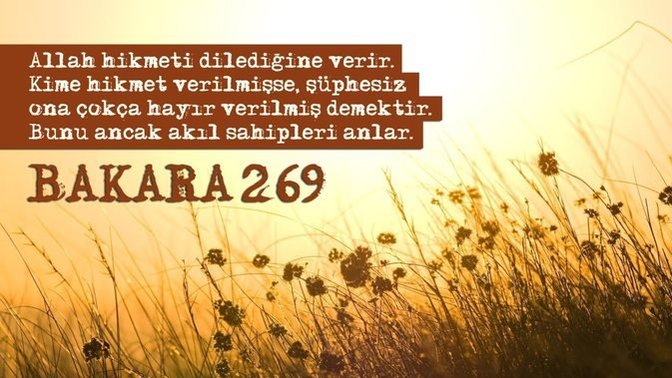 En iyi görüşleri seçme kriteriniz nedir? Hepsi muhteşem gibi 🙂?
