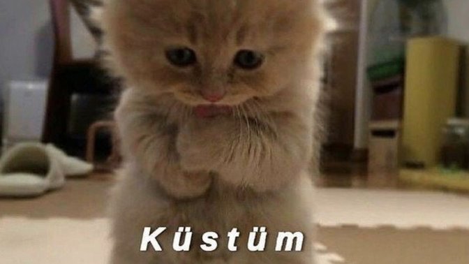 Seni seven birini bilerek üzdünmü hiç?