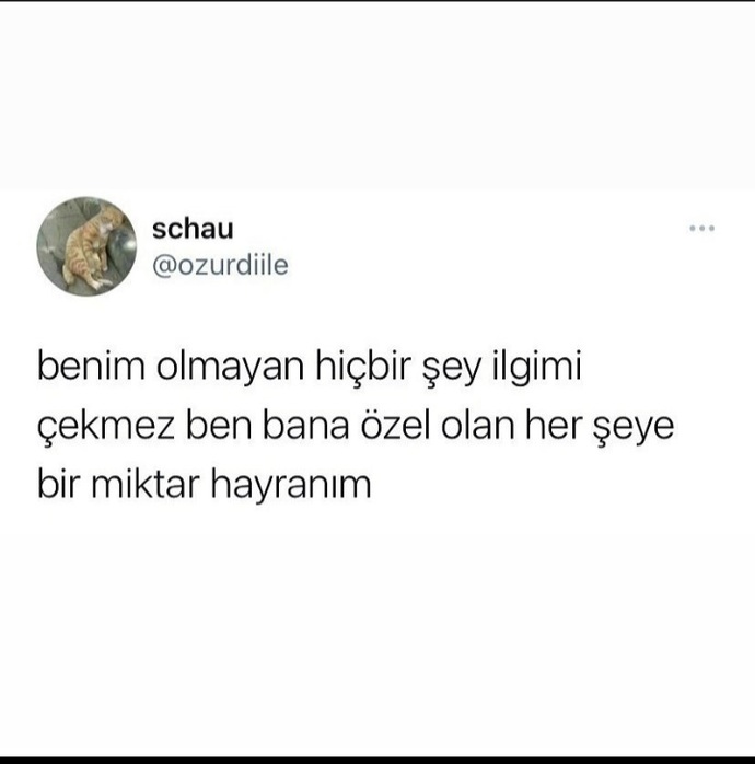 Bu akşama bir söz bırakır mısın ?