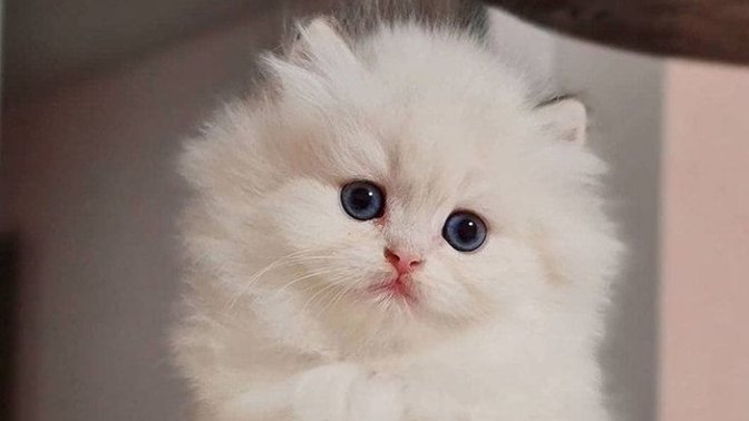 "Keşke bundanım olsa" dediğiniz neler var?