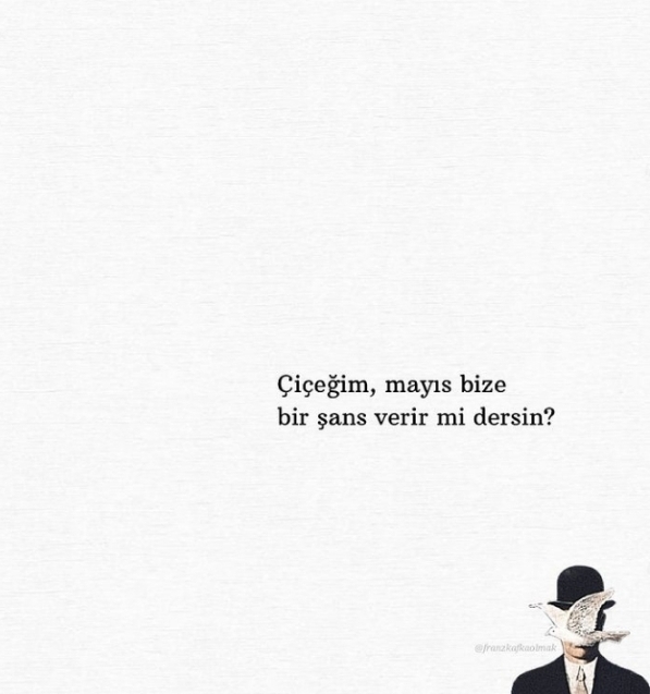 Mayıs bize bir şans verir mi sence? demek istediğinizi biri var mı hayatınızda?