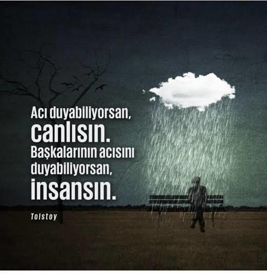 Başkalarının acısını duyabiliyor musun?