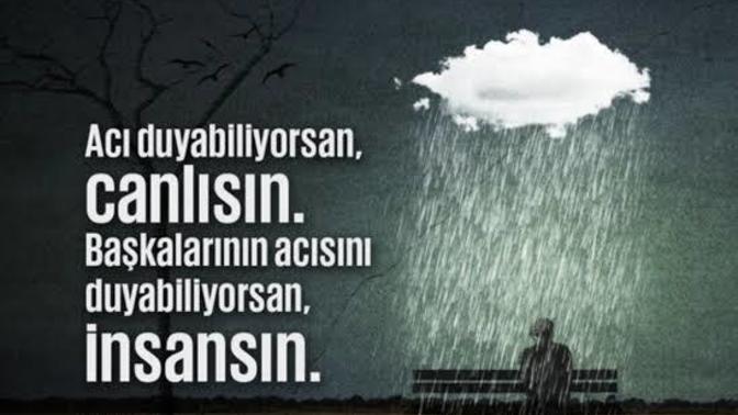 Başkalarının acısını duyabiliyor musun?