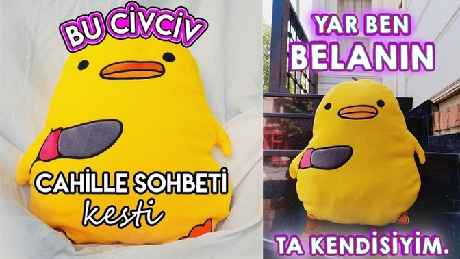 Civcivlerden çok korkuyorum, korkumu nasıl yenerim? 🥺