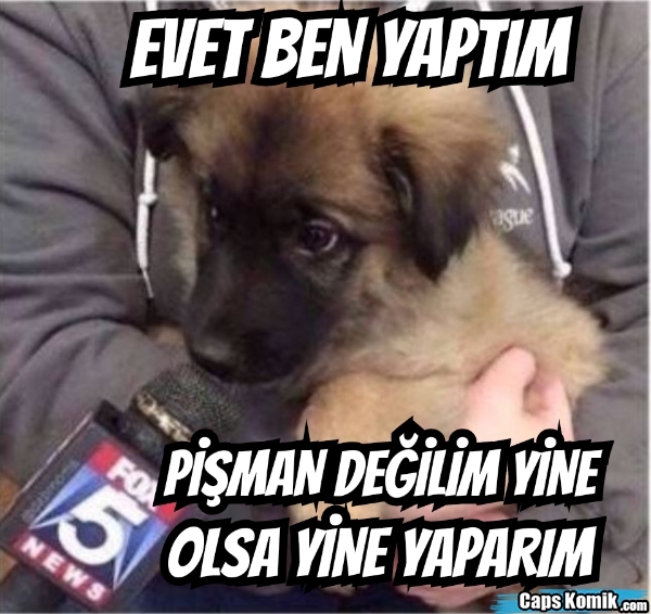 Cinselik yaşamak ya da yaşamamaktan pişman olan var mı?