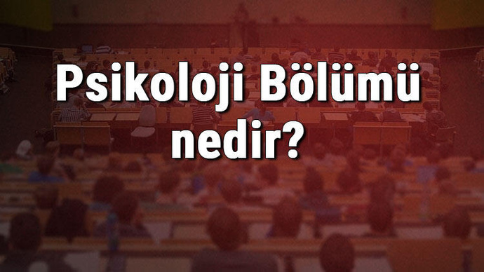 Psikoloji Okuyan Ne Olur? Psikoloji Bölümü Meslekleri Neler?