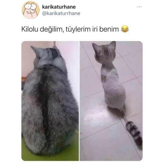 Biri kilo aldığınızı söylediğinde cevabınız ne oluyor?