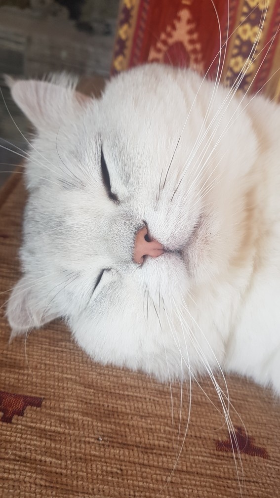 Galerinizdeki en son fotoğraf ne?