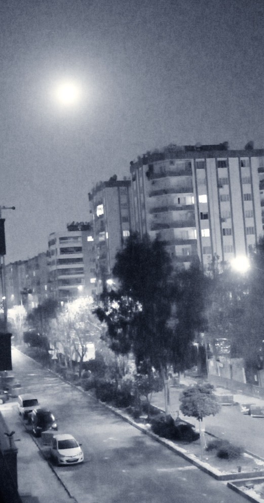 Galerinizdeki en son fotoğraf ne?