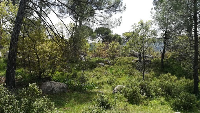 Galerinizdeki en son fotoğraf ne?