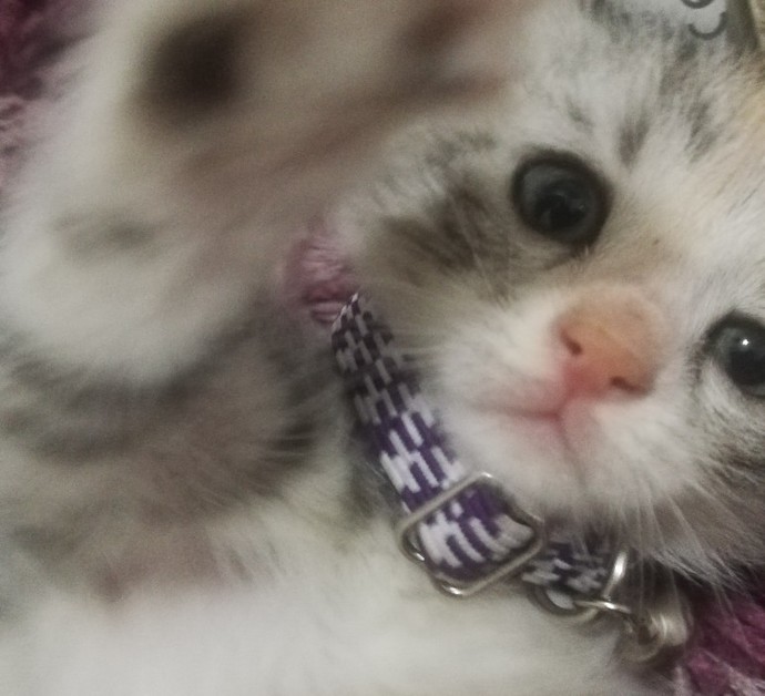 Galerinizdeki en son fotoğraf ne?