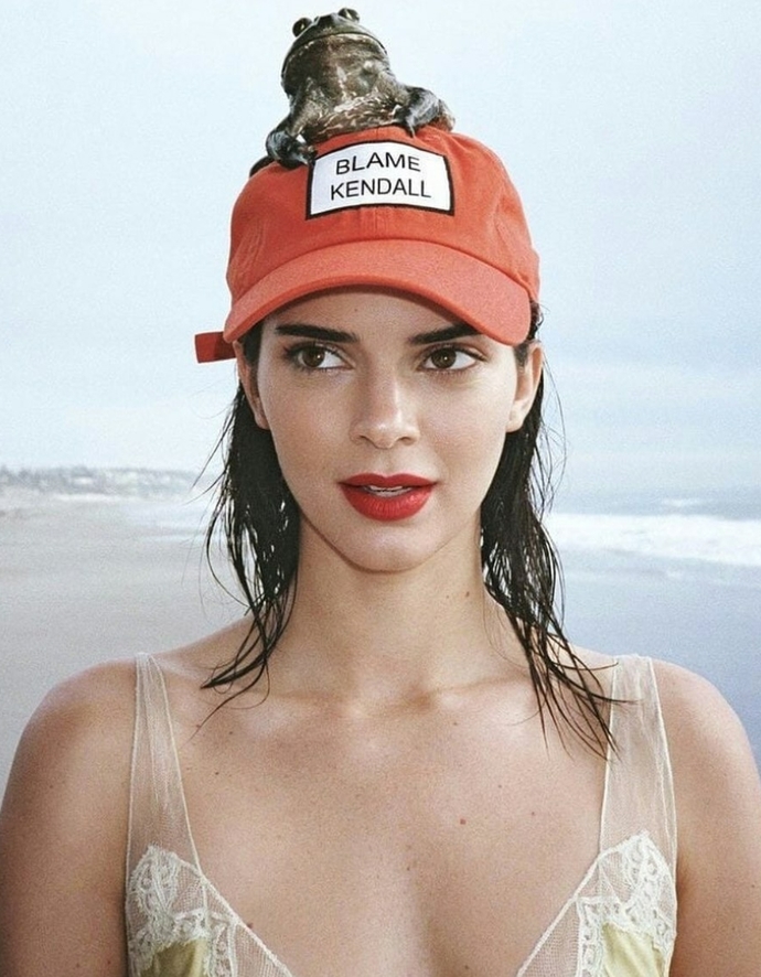 Sizce Kendall Jenner sıradan güzel mi?