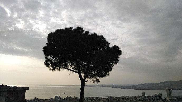 En son çektiğiniz fotoğraf nedir?